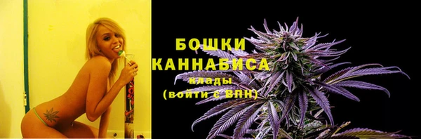 mdpv Няндома