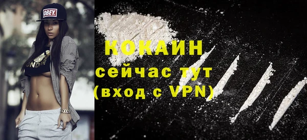 ПСИЛОЦИБИНОВЫЕ ГРИБЫ Новозыбков