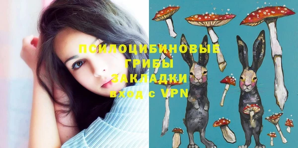 spice Беслан