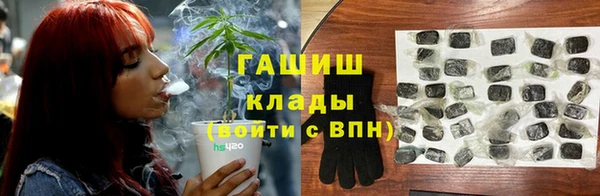 PSILOCYBIN Нязепетровск