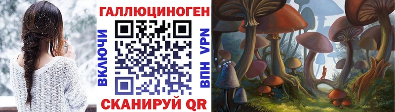 Псилоцибиновые грибы Psilocybe  Грязи 