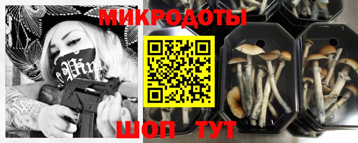 Псилоцибиновые грибы Magic Shrooms  Галлюциногенные грибы мицелий  Вход с VPN  Грязи 