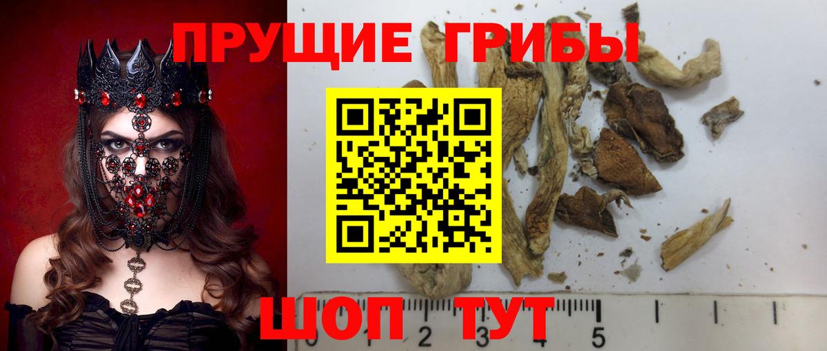 Галлюциногенные грибы Magic Shrooms  Грязи 