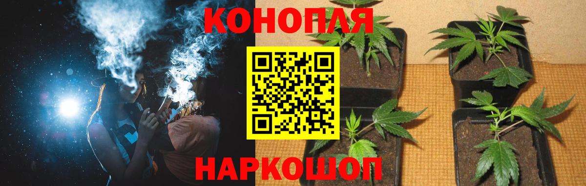 Шишки марихуана LSD WEED  Каннабис ГИДРОПОН  Грязи  Бошки Шишки VHQ 